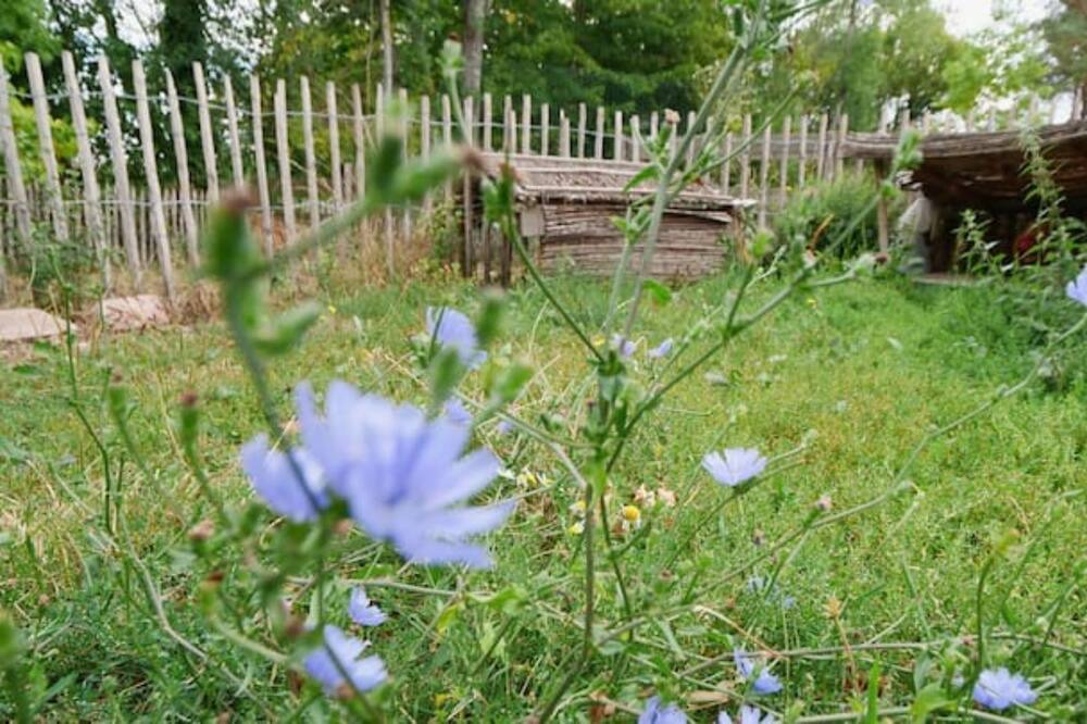 Photo of Outdoor in Dormelles
