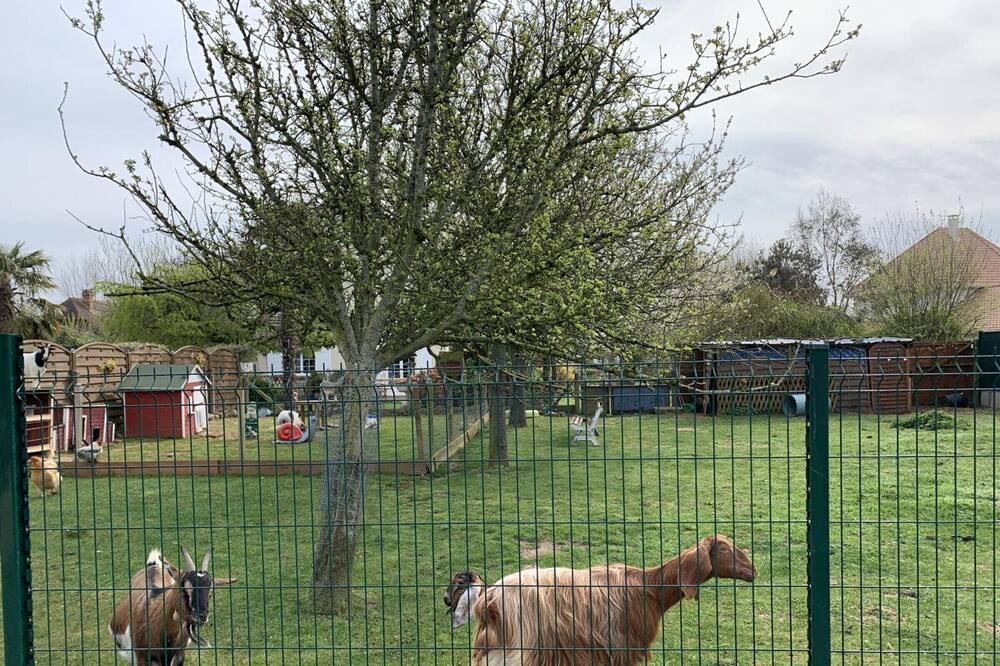 Photo of Others in Octeville-sur-Mer