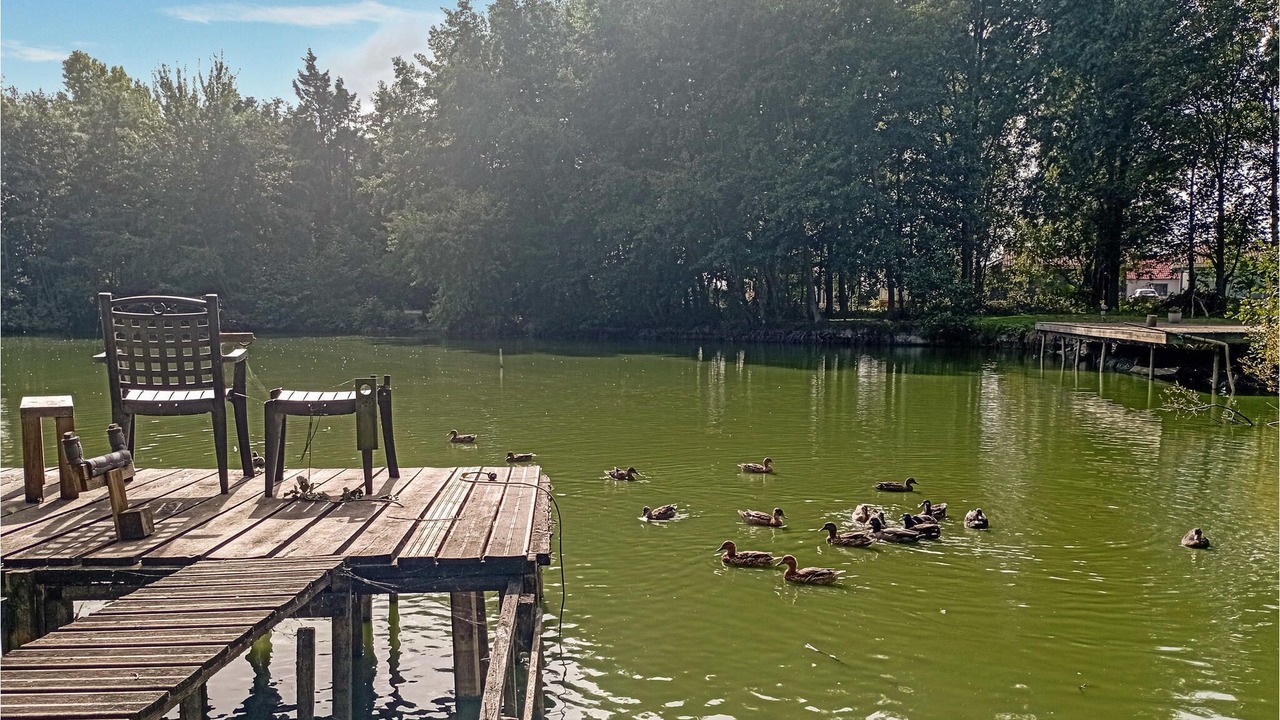Photo of Others in Bourbourg
