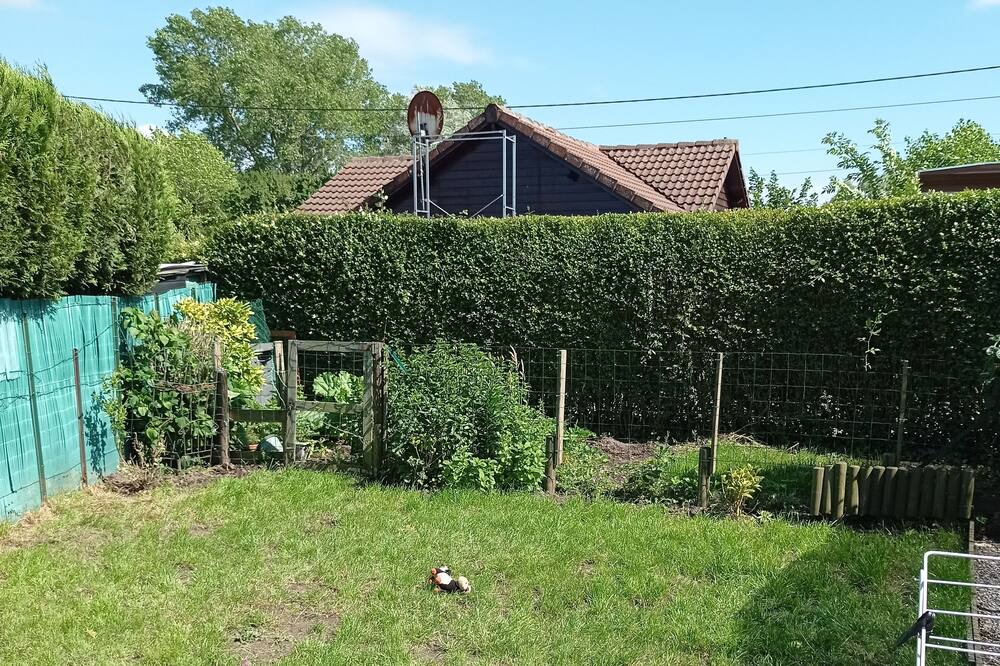 Photo of Outdoor in Ardres