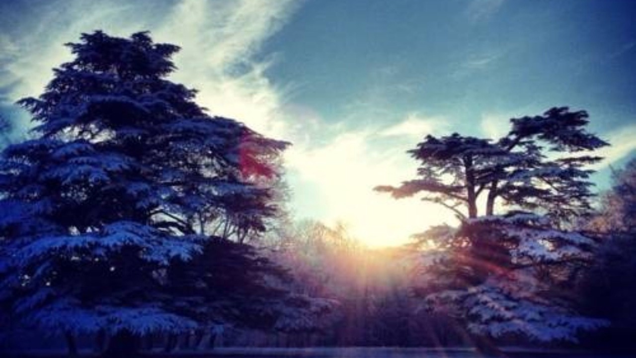 Photo of Others in Fresneaux-Montchevreuil