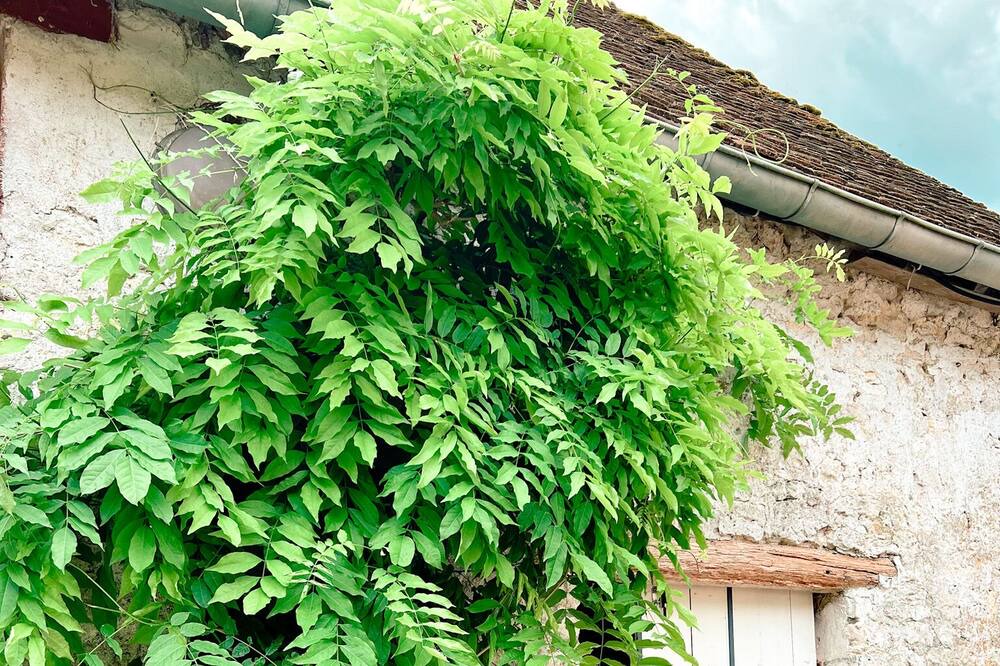 Photo of Outdoor in Barville-en-Gatinais