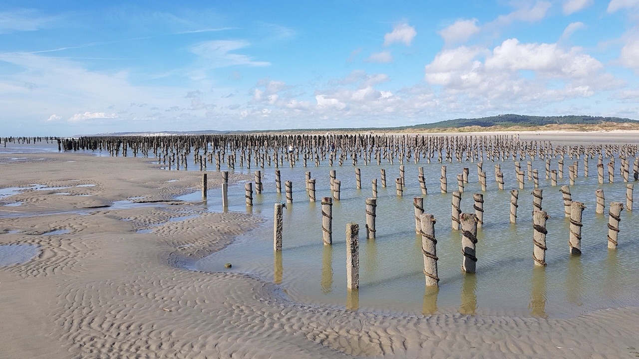 Photo of Others in Neufchatel-Hardelot