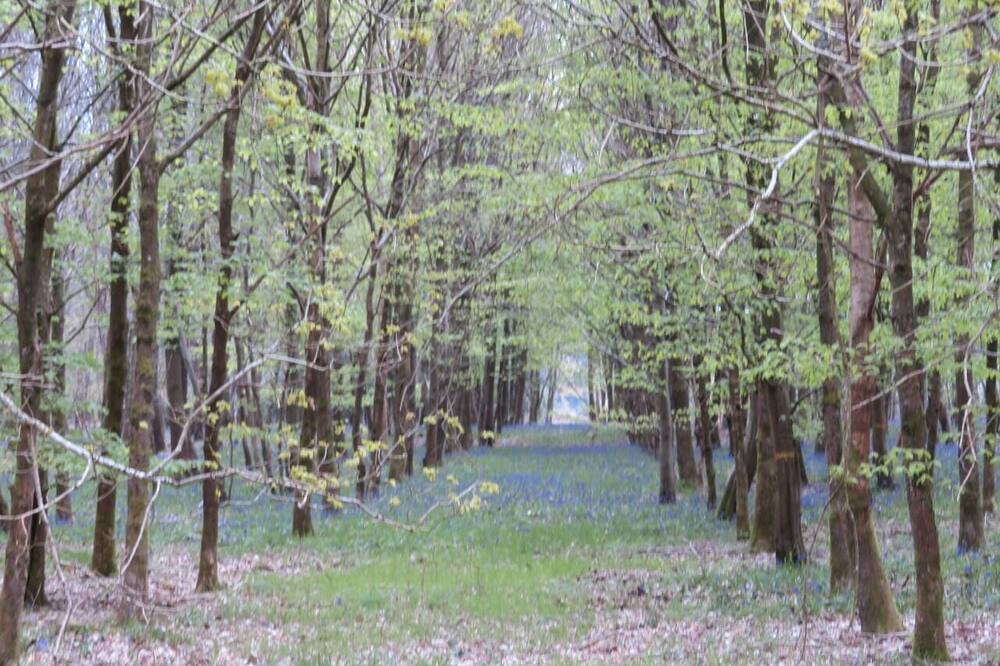 Photo of Outdoor in Aubermesnil-aux-Erables
