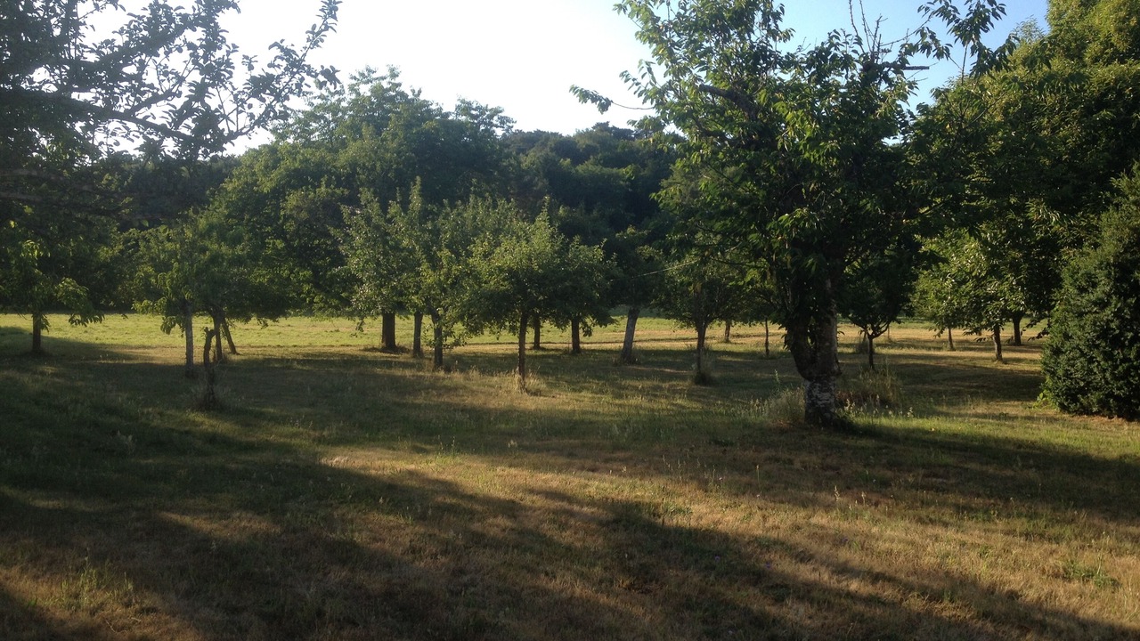 Photo of Outdoor in Villiers-sous-Grez