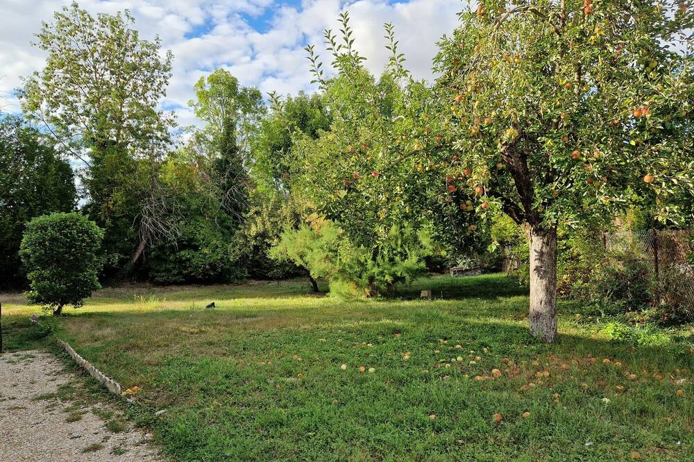 Photo of Outdoor in Droupt-Sainte-Marie