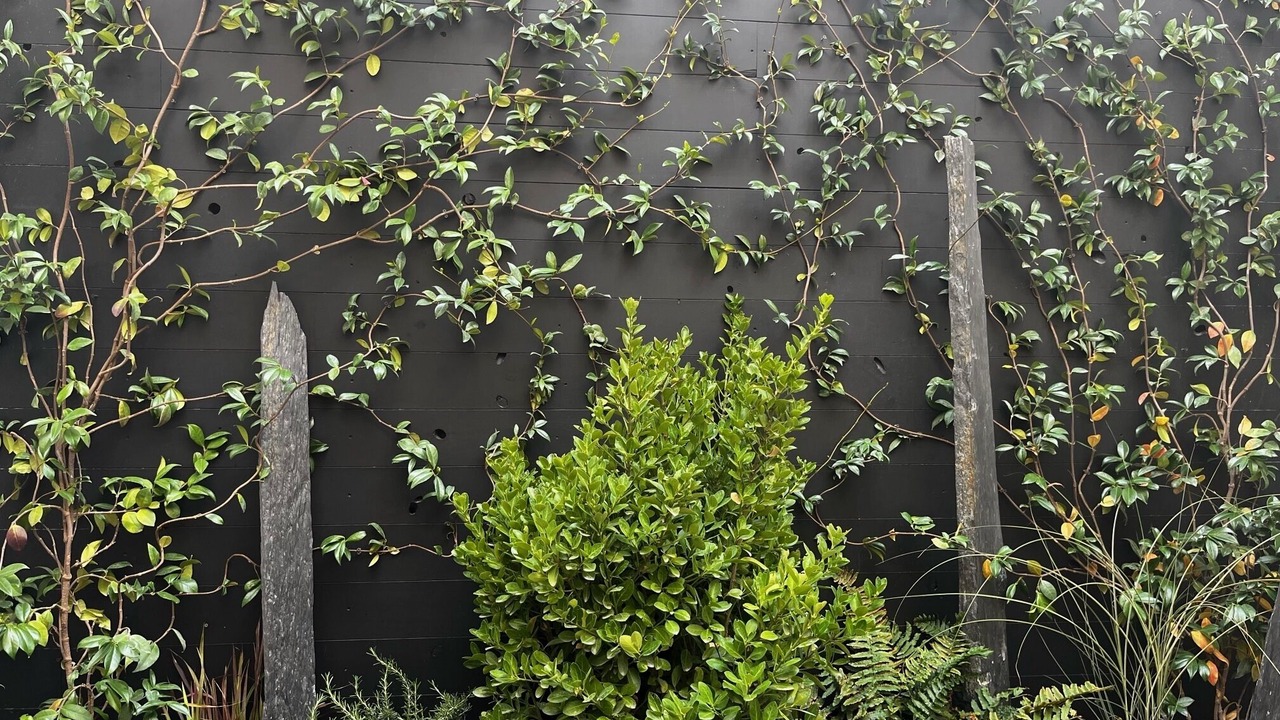 Photo of Outdoor in Cernay