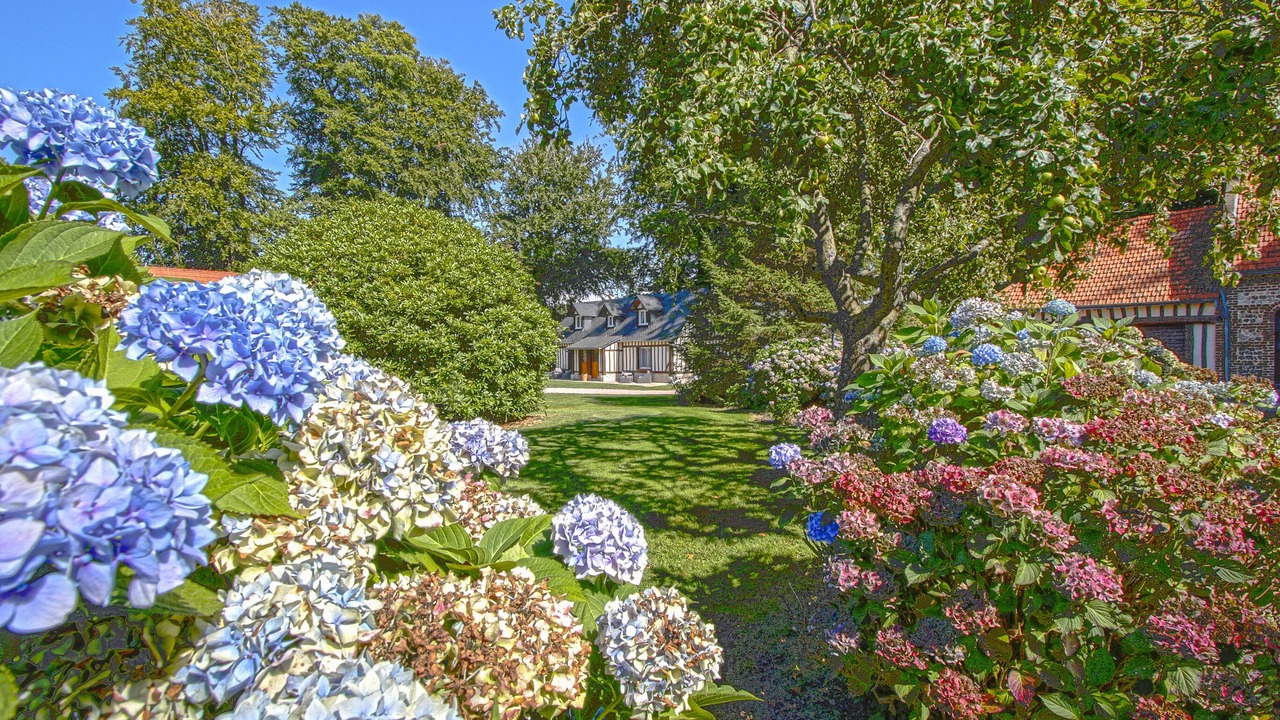 Photo of Outdoor in Ecrainville
