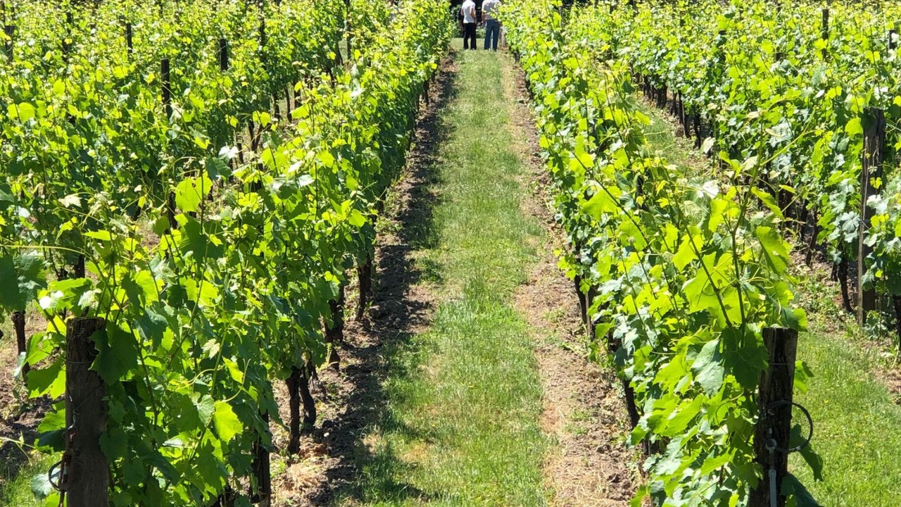 Photo of Outdoor in La Ferte-sous-Jouarre