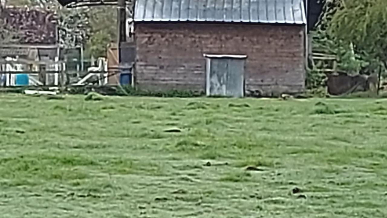 Photo of Outdoor in Saint-Michel-Tubœuf