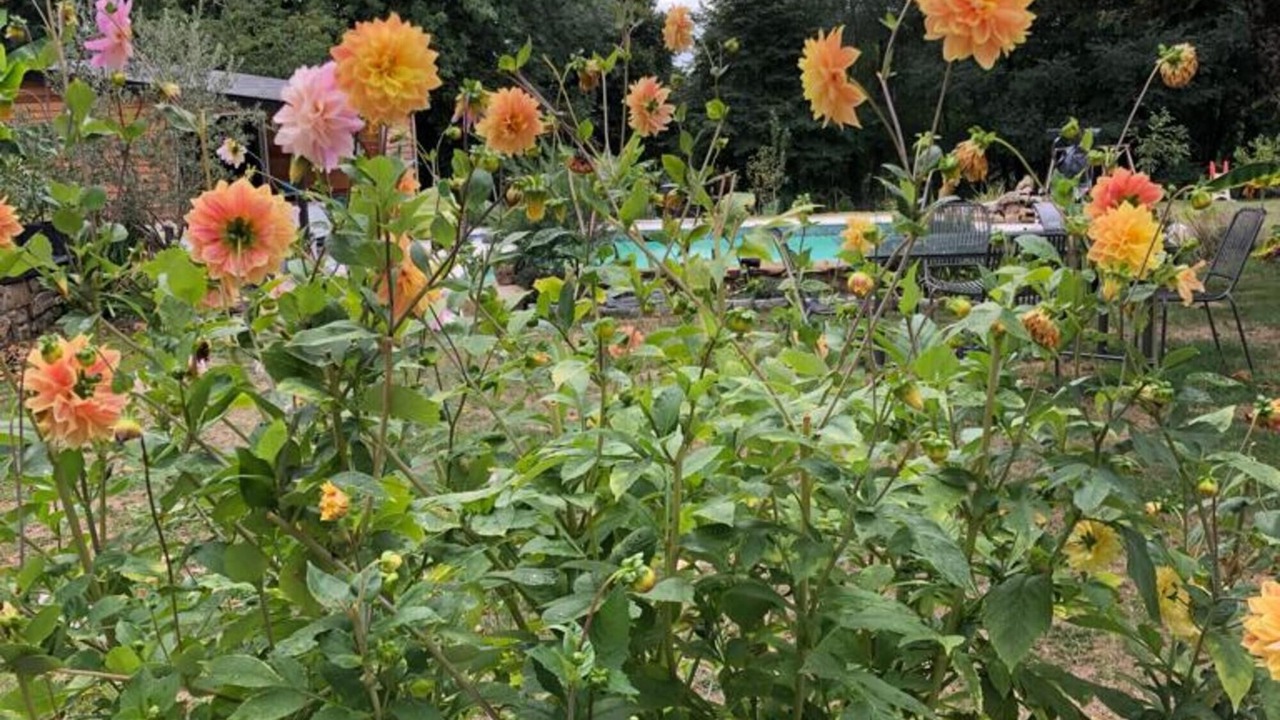 Photo of Outdoor in La Porcherie