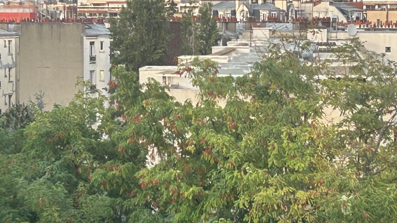 Photo of Patio Balcony in Saint-Lambert
