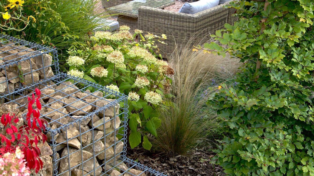 Photo of Outdoor in Courmas