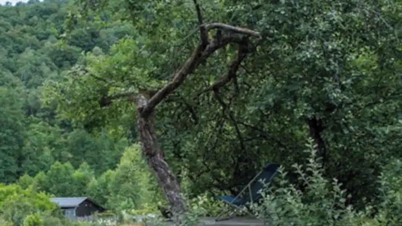 Photo of Outdoor in Les Hautes-Rivieres