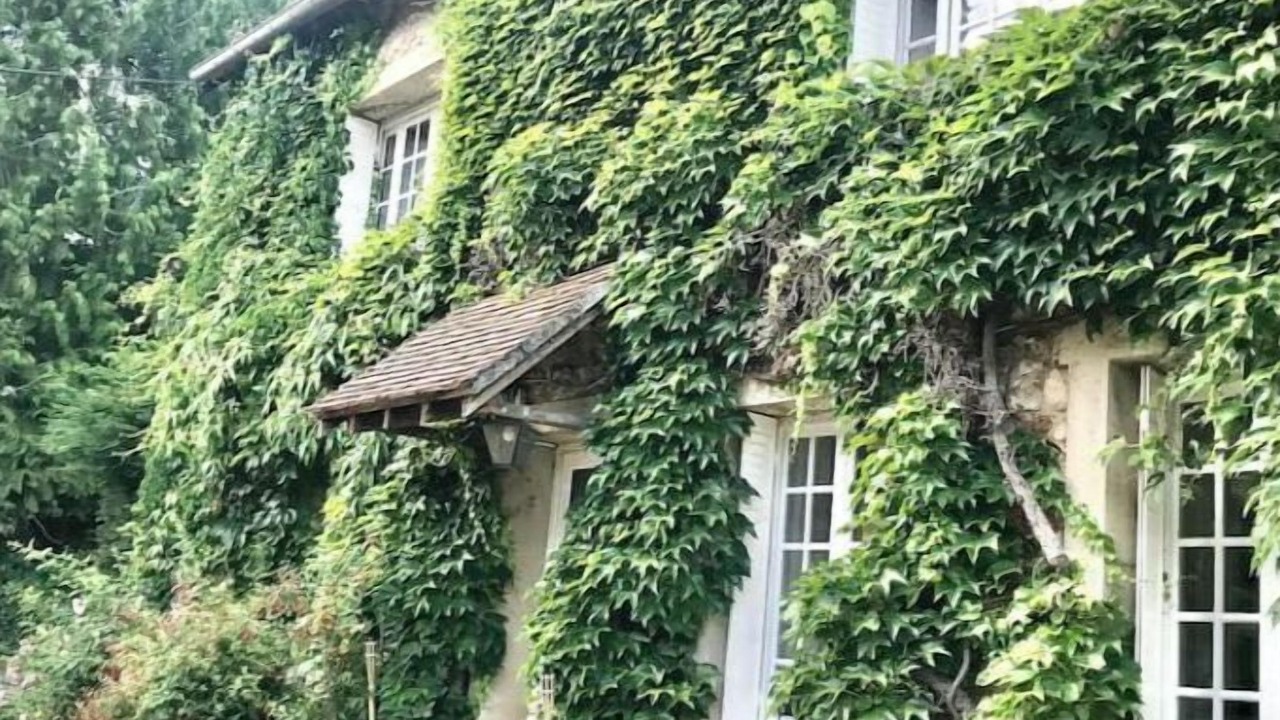 Photo of Outdoor in Saint-Pierre-de-Bailleul