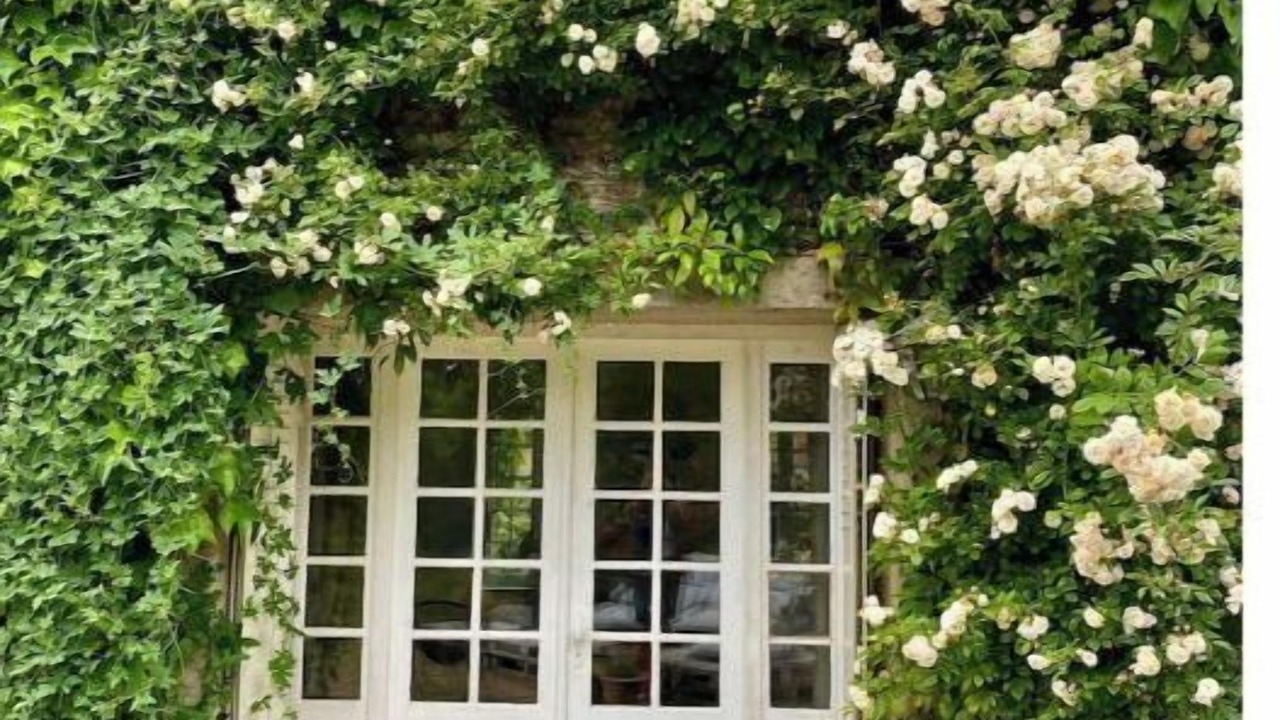 Photo of Outdoor in Saint-Pierre-de-Bailleul