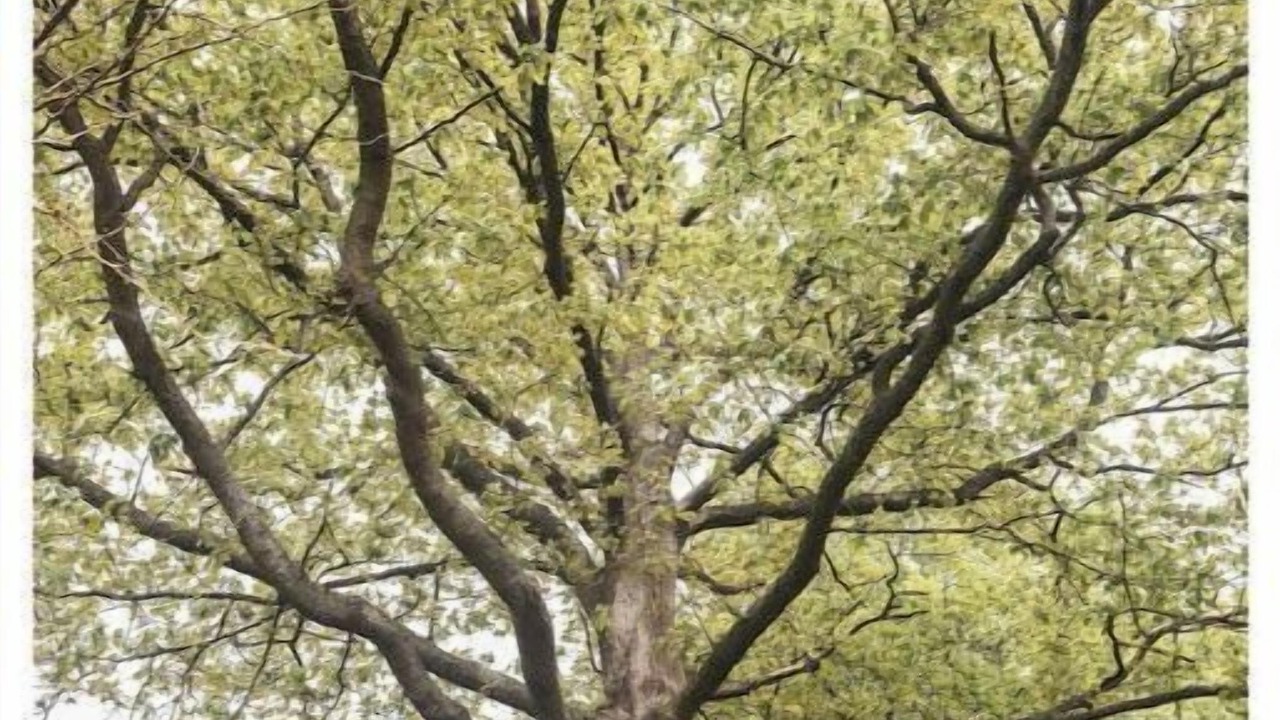 Photo of Outdoor in Saint-Pierre-de-Bailleul