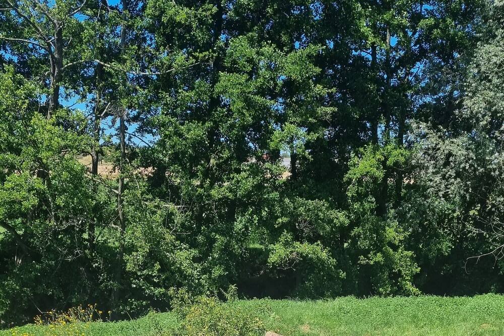 Photo of Outdoor in Butten