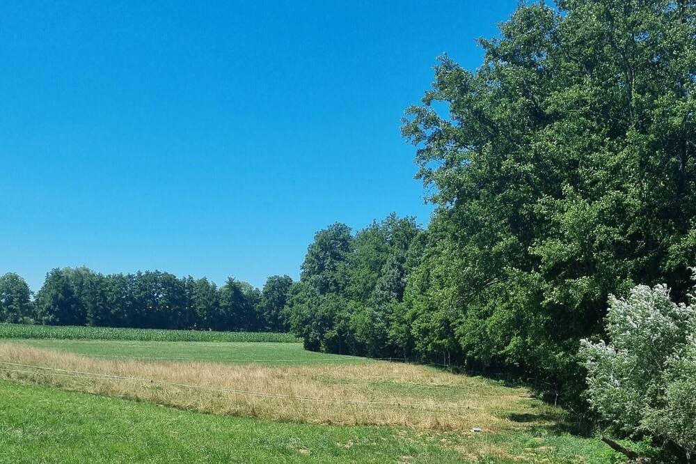 Photo of Outdoor in Butten
