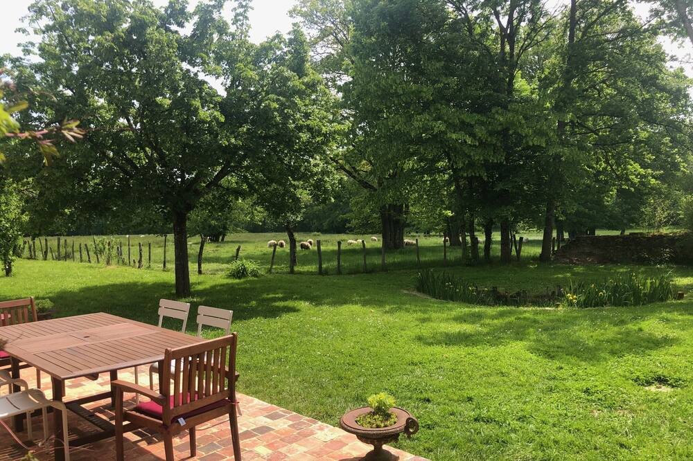 Photo of Outdoor in Toucy