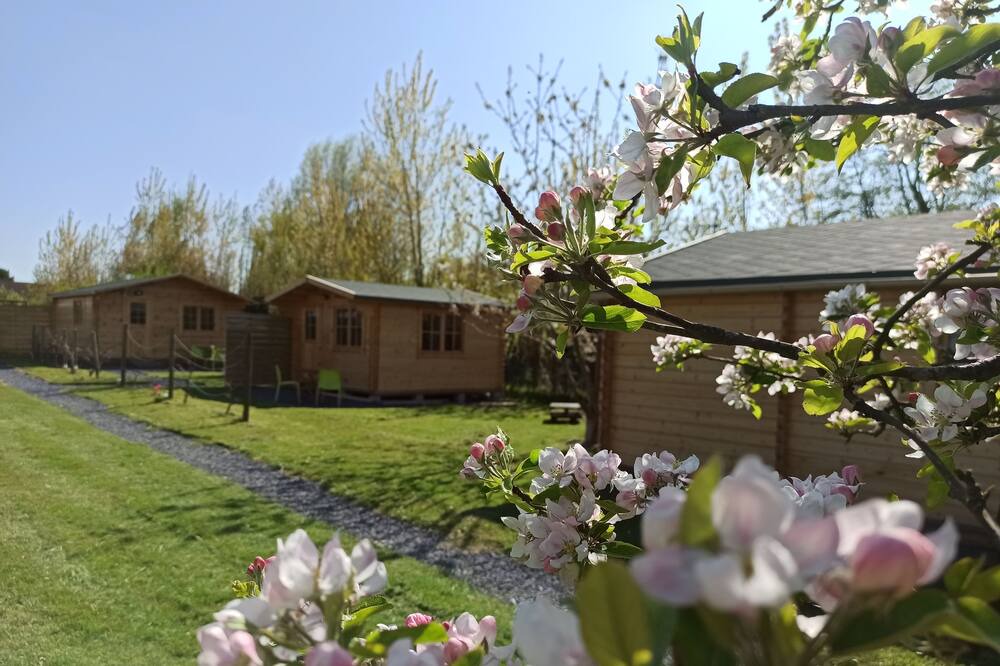 Photo of Outdoor in Verton