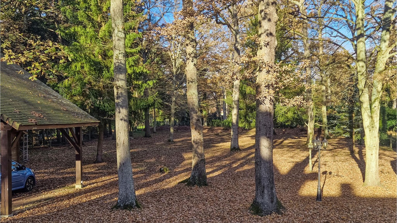 Photo of Outdoor in Lamorlaye