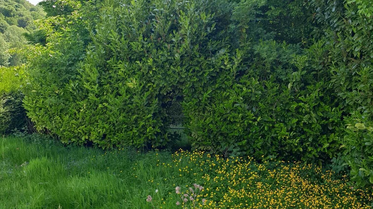 Photo of Outdoor in Savignies