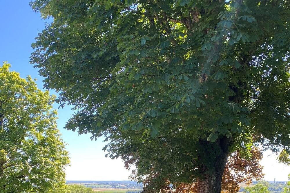 Photo of Outdoor in Chaulgnes
