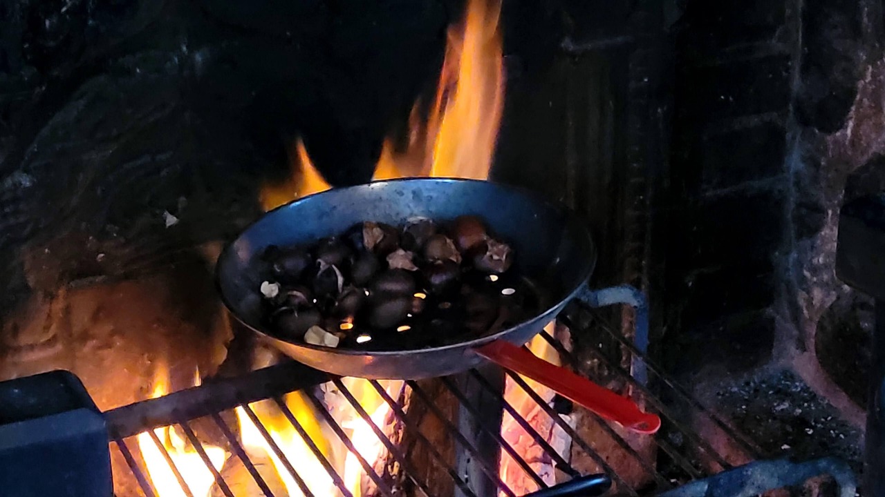 Photo of Outdoor in Saint-Gatien-des-Bois