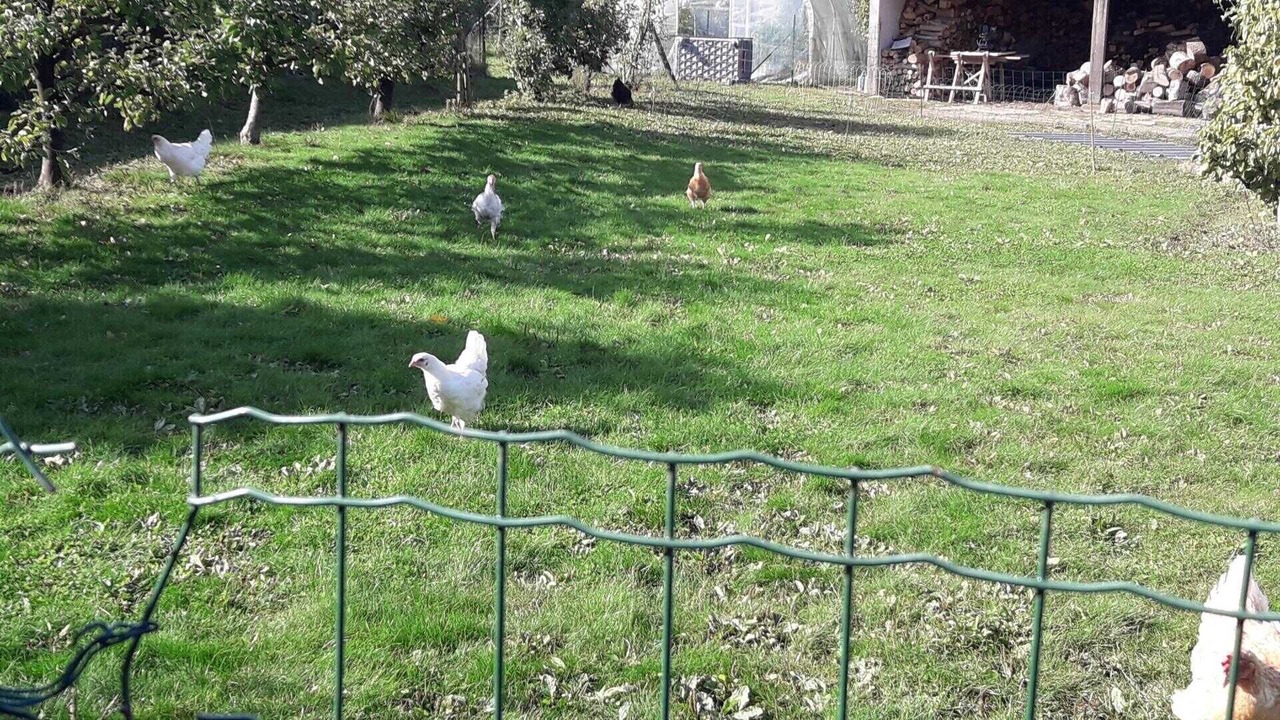 Photo of Outdoor in Baincthun