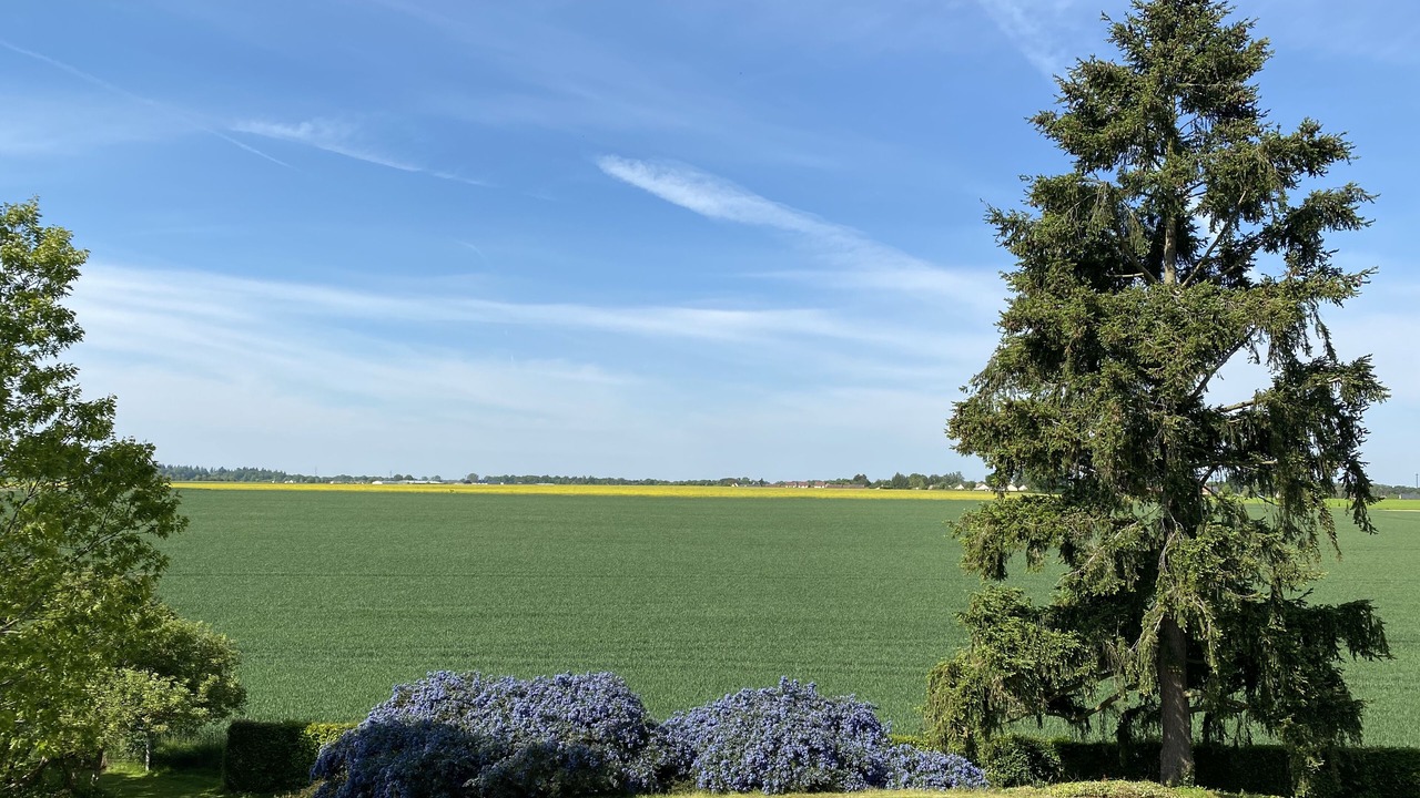 Photo of Outdoor in Harcourt