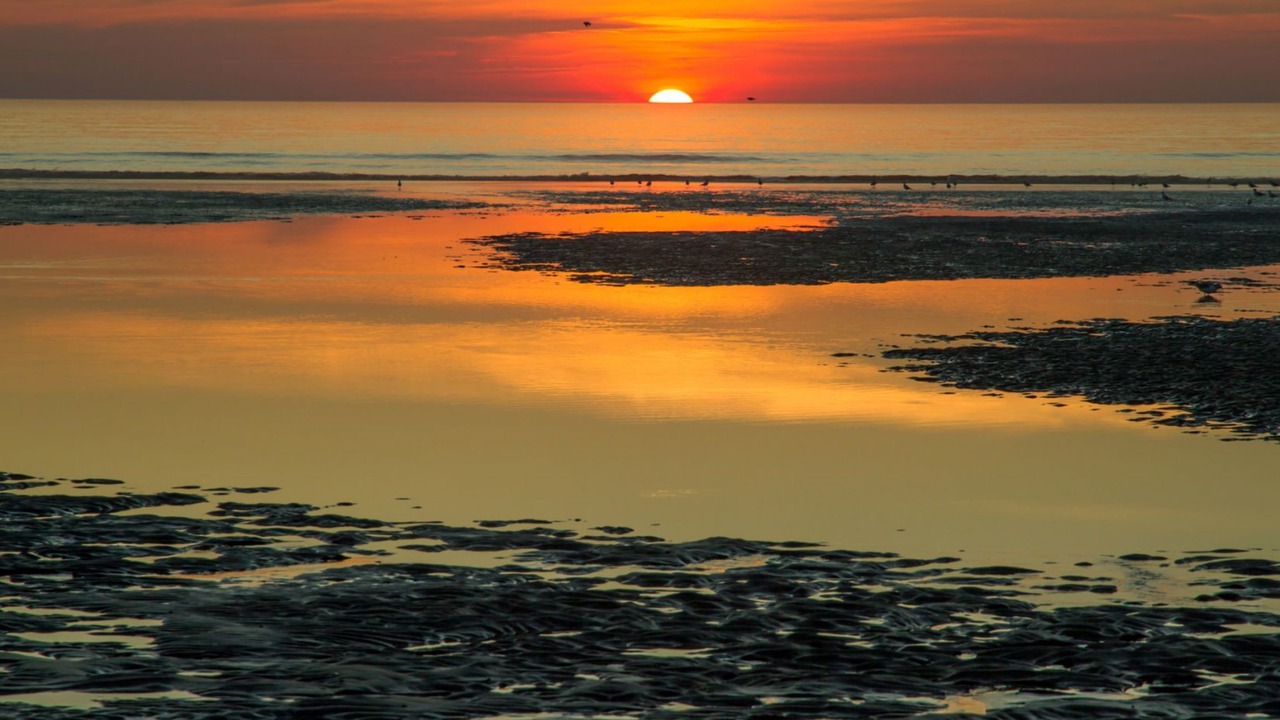 Photo of Outdoor in Berck-sur-Mer