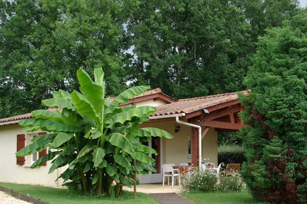 Photo of Outdoor in Savignac-de-Miremont
