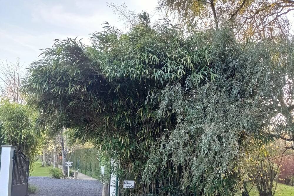 Photo of Outdoor in Montreuil-sur-Mer
