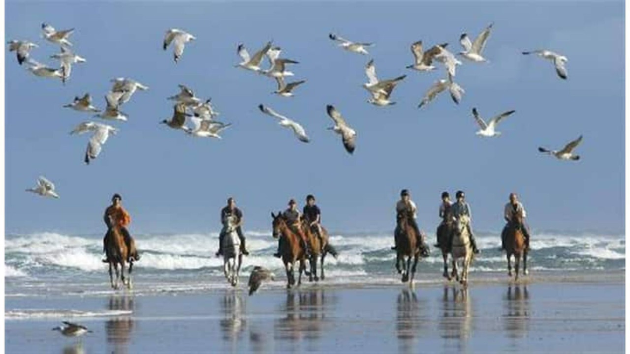 Photo of Others in Lisieux