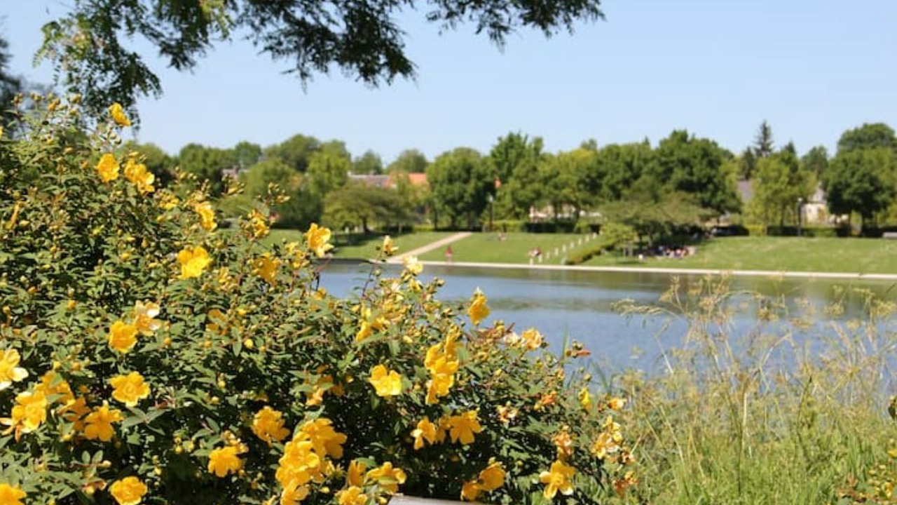 Photo of Outdoor in Saint-Honore - Jeanne d'Arc