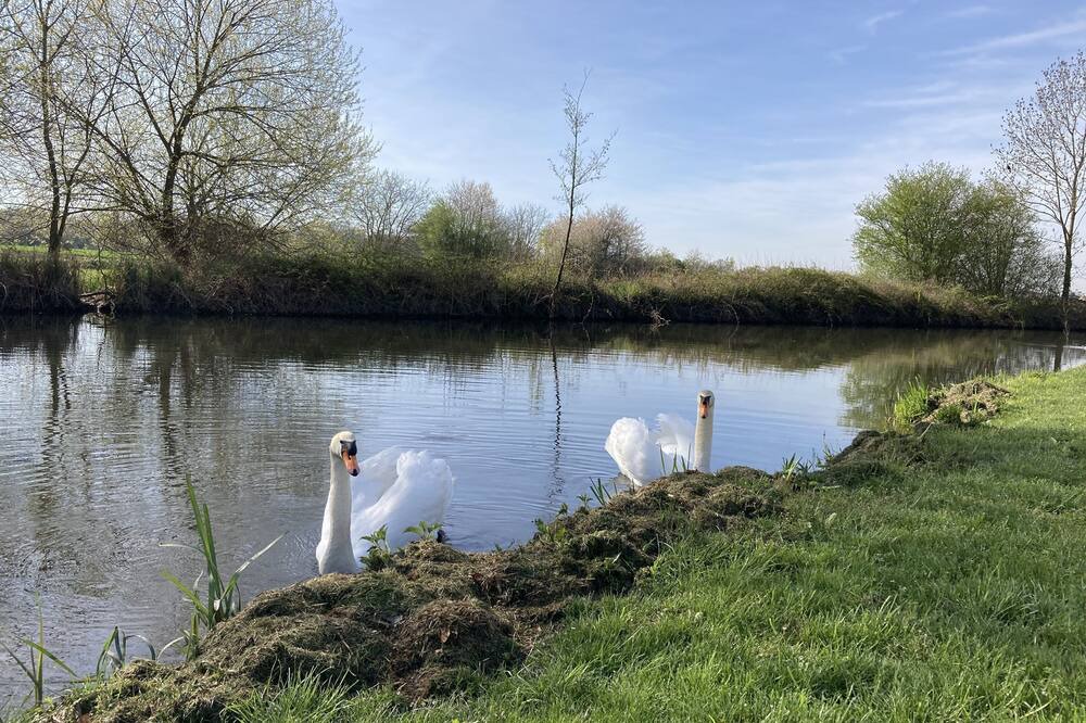 Photo of Outdoor in Fegersheim