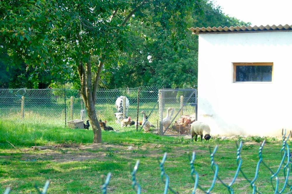Photo of Outdoor in Avesnes-en-Val