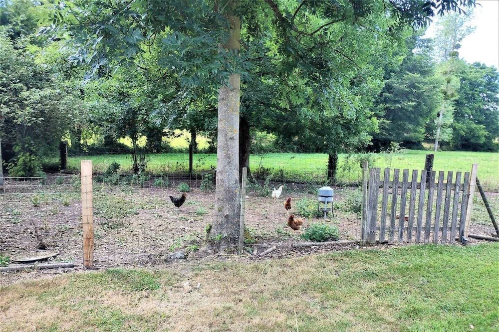 Photo of Outdoor in Ellecourt