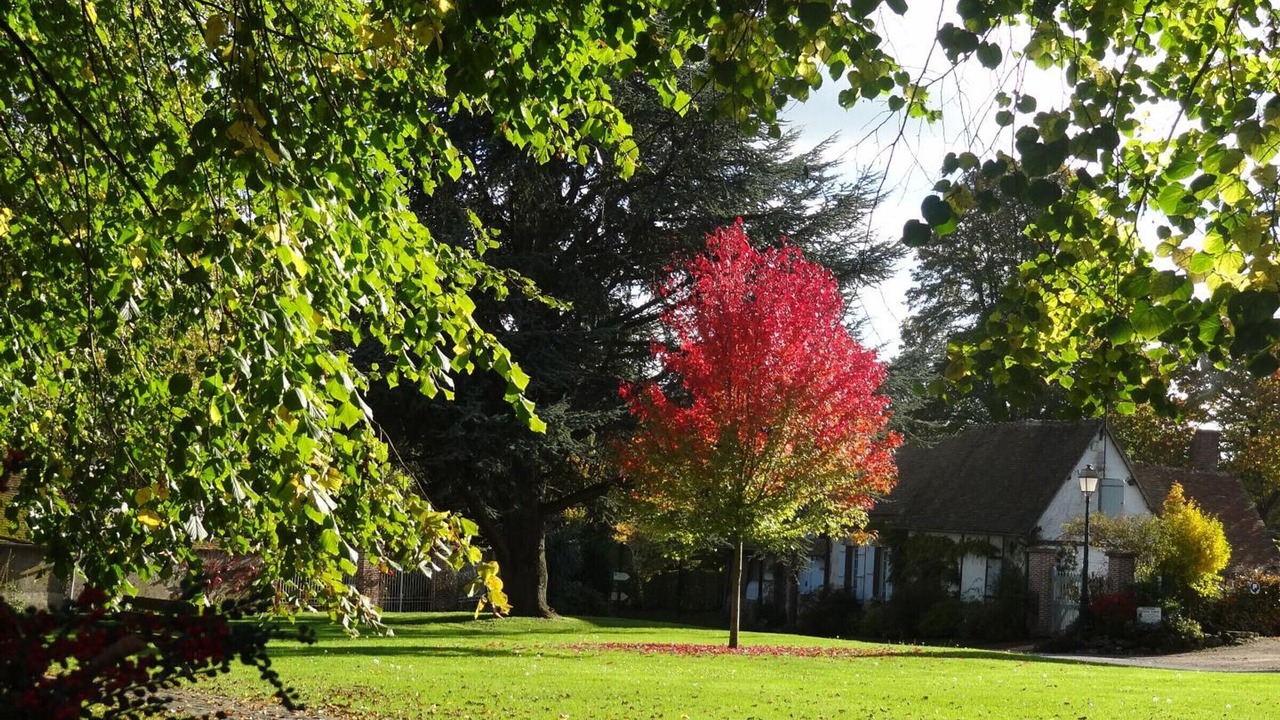 Photo of Outdoor in Thibivillers