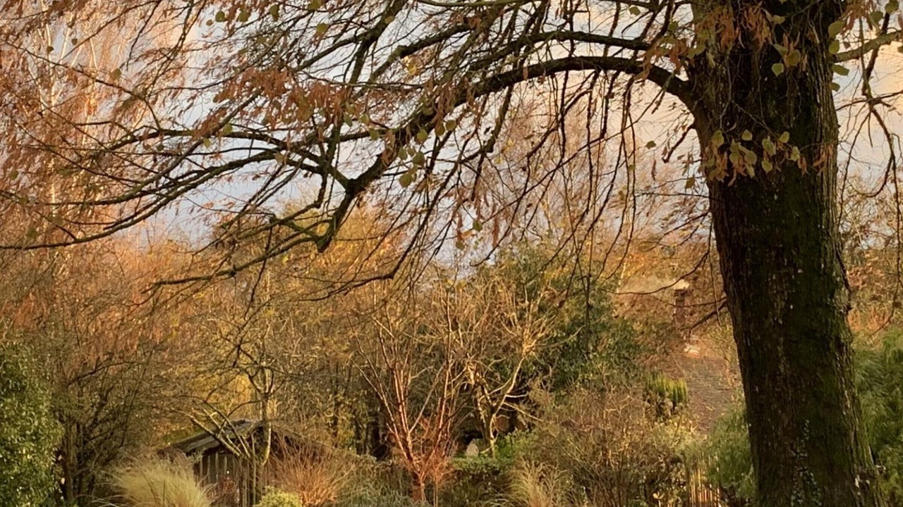 Photo of Outdoor in Thibivillers