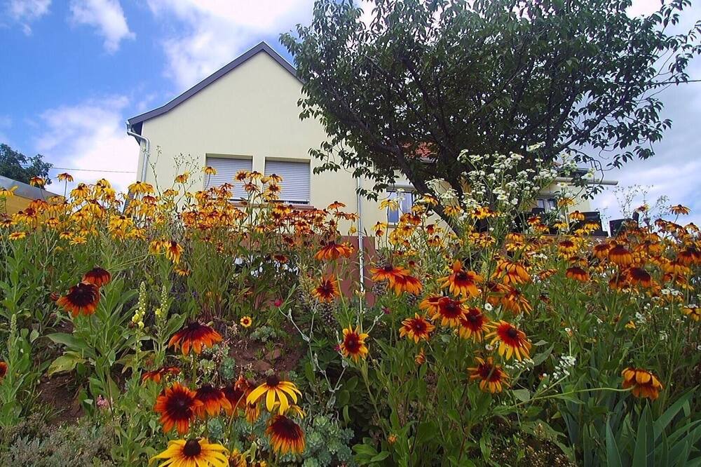 Photo of Outdoor in Lichtenberg