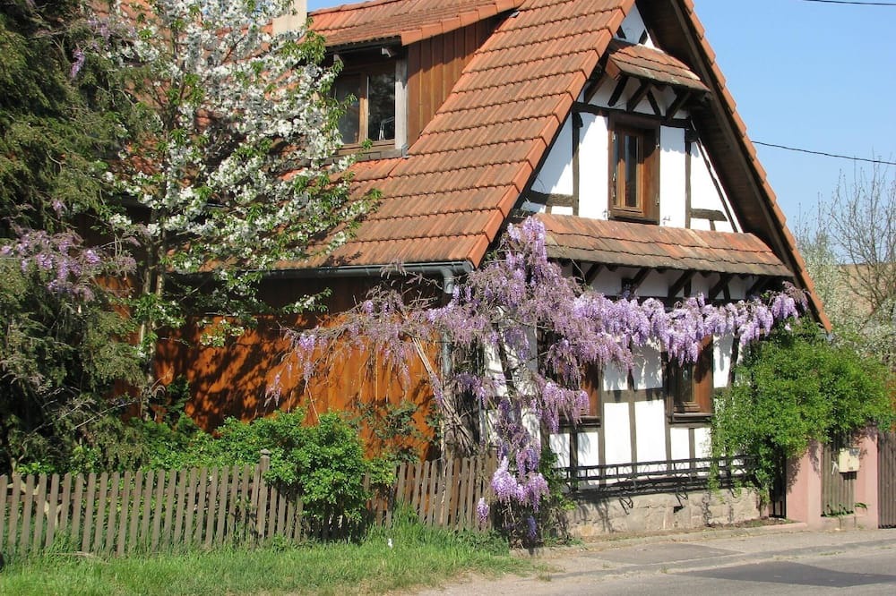 Photo of Outdoor in Betschdorf