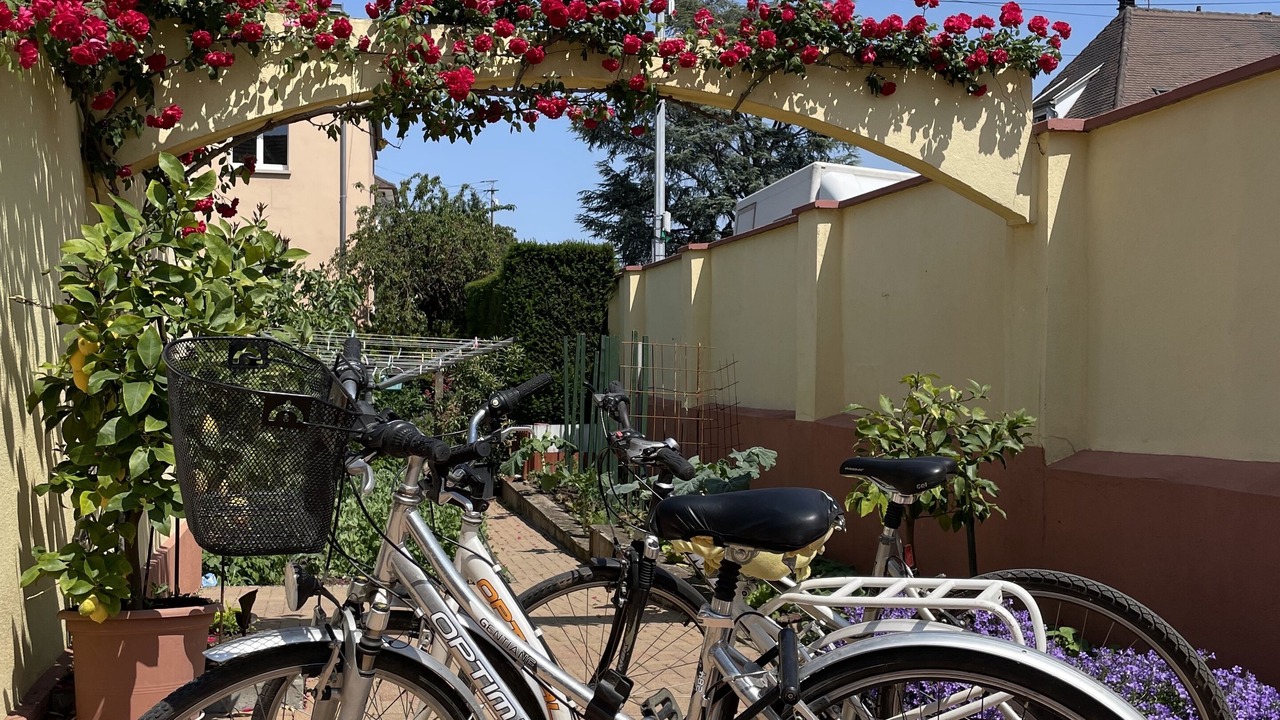 Photo of Outdoor in Poteries