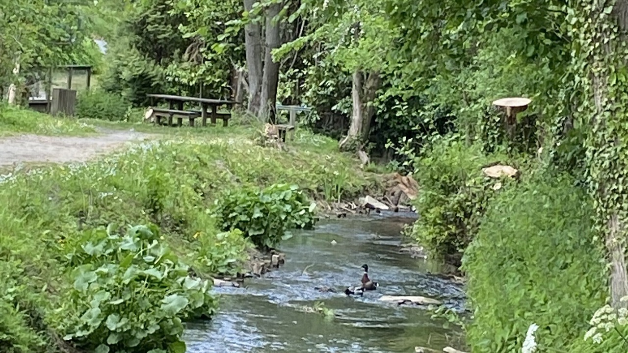 Photo of Outdoor in Villers-Pol