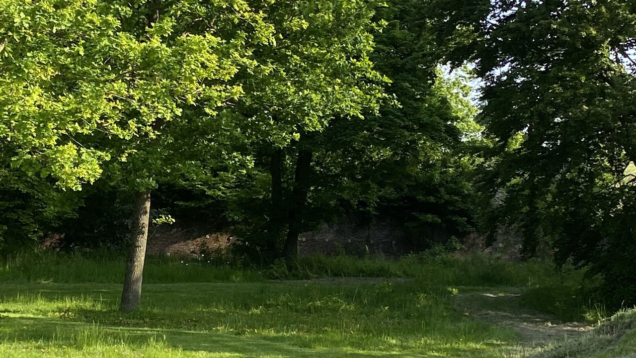 Photo of Outdoor in Villers-Pol