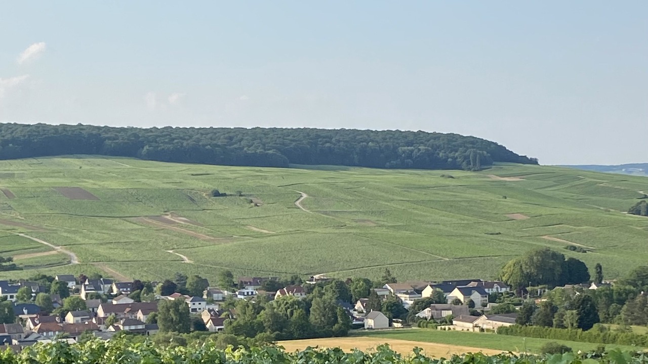 Photo of Outdoor in Orbais-l'Abbaye