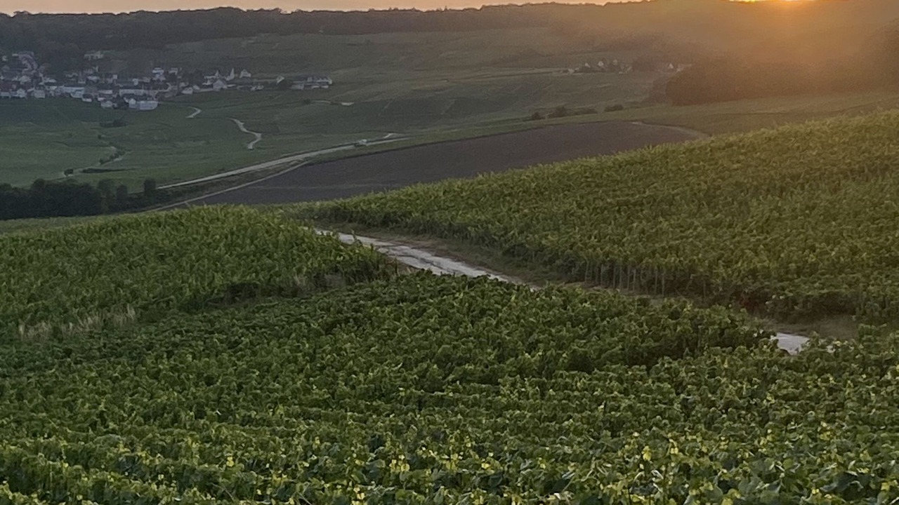Photo of Outdoor in Orbais-l'Abbaye
