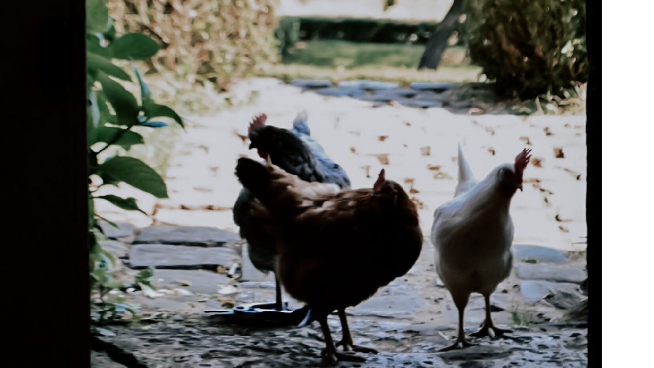 Photo of Outdoor in Cour-Maugis sur Huisne