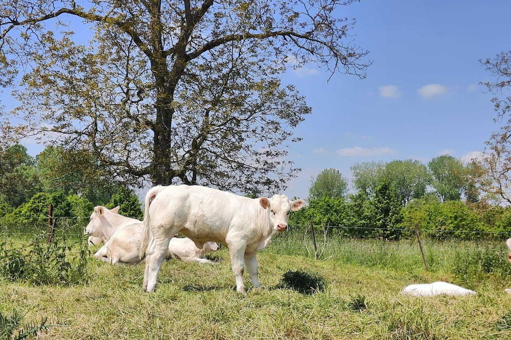 Photo of Outdoor in Cysoing